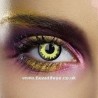 Yellow And Black Solar Eclipse Contact Lenses Yearly Halloween Crazy Wolf Contact Lenses