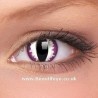 ColourVue Purple Dragon Crazy Colour Contact Lenses (3 Month Wear)