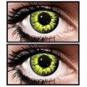 Yellow Wolf (New Moon) Crazy Halloween Coloured Contact Lenses