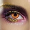 Crazy Wolf Eye Red And Yellow Halloween Contact Lenses