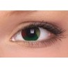 Rasta Tri Tone Flag Colours Yellow Green Red Crazy Colour Contact Lenses (1 Year)