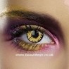 Yellow Wolf New Moon Twilight Contact Lenses