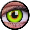 ColourVUE 1 Day Use Mad Hatter Green Yellow Crazy Halloween Coloured Contact Lenses