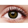 ColourVUE Gorgeous Brown Big Eye Coloured Contact Lenses (90 Day)