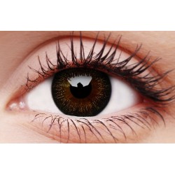 ColourVUE Gorgeous Brown Big Eye Coloured Contact Lenses (90 Day)