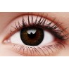 ColourVUE Gorgeous Brown Big Eye Coloured Contact Lenses (90 Day)