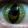 Green & Yellow Reptile Lizard Snake Dragon Eye Crazy Halloween Contact Lenses