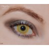 Freshlady Avatar Yellow Halloween Cosplay Contact Lenses