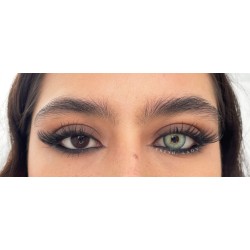 FreshLady Oasis Jade Coloured Contact Lenses Yearly