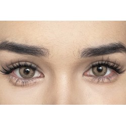 FreshLady Whisper Forest Brown Coloured Contact Lenses Yearly