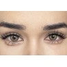 FreshLady Whisper Forest Brown Coloured Contact Lenses Yearly