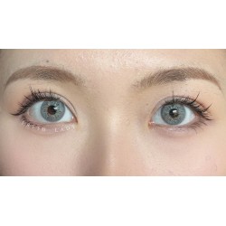 FreshLady Wing Grey Grey Coloured Contact Lenses Yearly