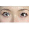 FreshLady Wing Grey Grey Coloured Contact Lenses Yearly