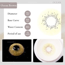 FreshLady Ocean Series Brown Coloured Contact Lenses Yearly