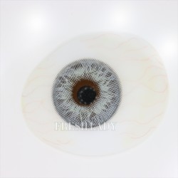 FreshLady Saturn Grey Coloured Contact Lenses Yearly