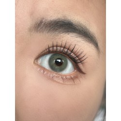 FreshLady Petroleum Sage Green Coloured Contact Lenses Yearly