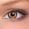 ColourVUE Honey Glamour Vibrant Coloured Contact Lenses (90 Day)