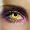 Crazy Yellow Block Contact Lenses Yearly Wear