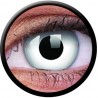 ColourVUE 1 Day Use White Out Halloween Coloured Contact Lenses