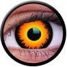 ColourVUE 1 Day Use Orange Werewolf Crazy Halloween Colour Contact Lenses