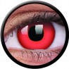 ColourVUE 1 Day Use Red Devil Block Halloween Coloured Contact Lenses