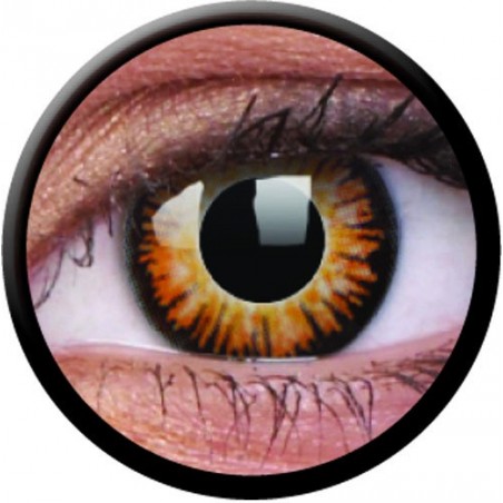 ColourVUE 1 Day Use Twilight Brown Crazy Halloween Coloured Contact Lenses