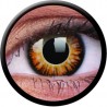 ColourVUE 1 Day Use Twilight Brown Crazy Halloween Coloured Contact Lenses